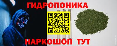 скорость Бердск