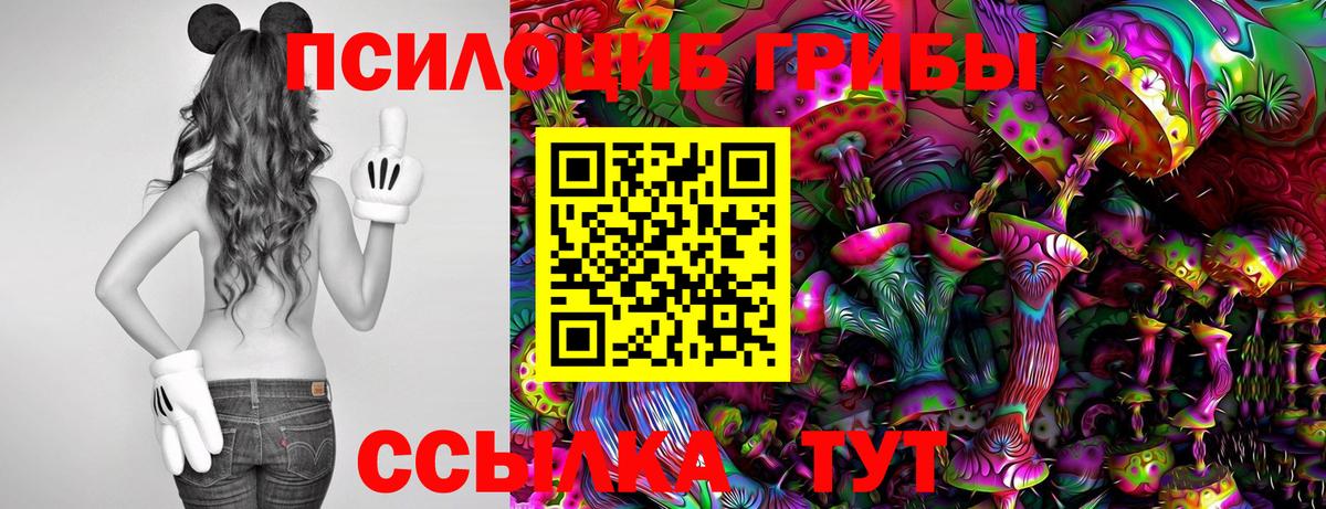 Галлюциногенные грибы Cubensis Большой Камень