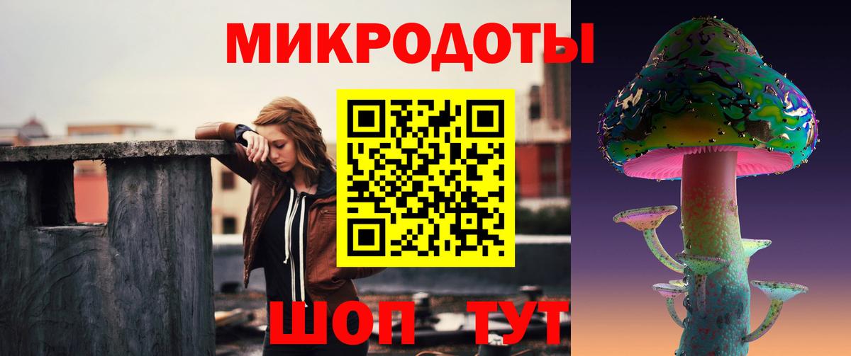 Псилоцибиновые грибы прущие грибы Большой Камень