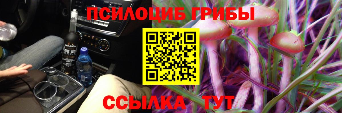 Псилоцибиновые грибы прущие грибы  Вход с VPN  Большой Камень 